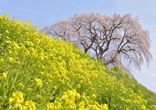 【2022】4月の国内おすすめ旅行先25選！春休み・GW旅行にもぴったりな観光地特集1.jpg