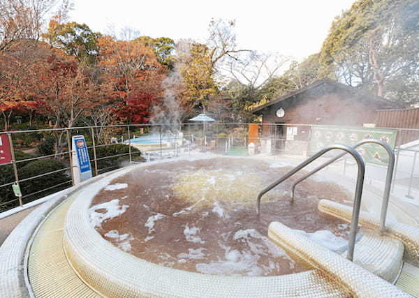 【2021年版】豊島園 庭の湯を徹底取材！カップルで楽しめる水着エリアや最新の営業情報まで