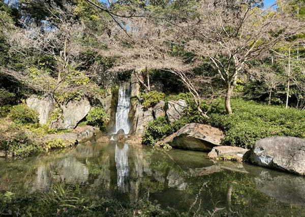 浜松城をとことん楽しむ！天守閣リニューアル後の見どころやライトアップを総まとめ