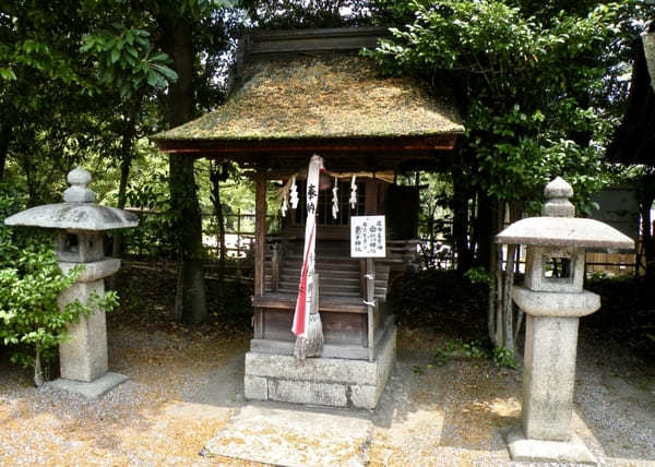 【滋賀・大津】うさぎ好きさん必見！三尾神社