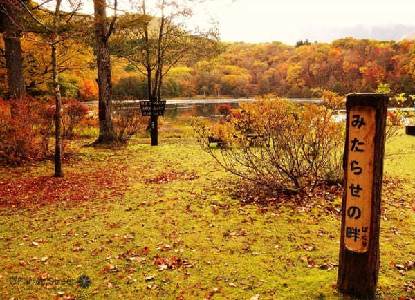 圧巻の紅葉も！リフレクションが美しい観音沼森林公園【福島】