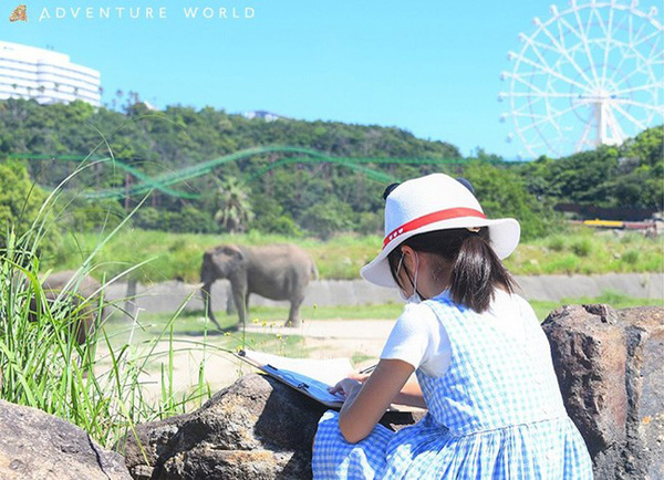 夏休みの思い出にぴったり！家族で楽しめるアドベンチャーワールドのイベントに注目