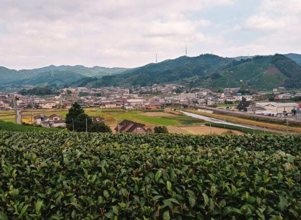 【京都】美しい茶畑が広がる和束町の「和束茶カフェ」に立ち寄ろう