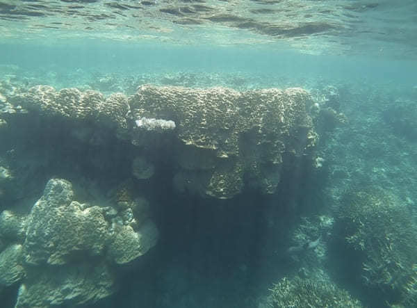 【鳩間島・完全ガイド】絶景ビーチや島の魅力、おすすめの過ごし方を大公開！（沖縄）