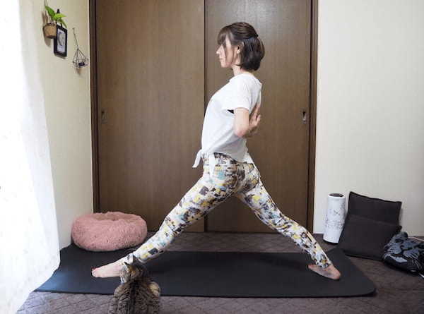 『yoganess』より引用jpg