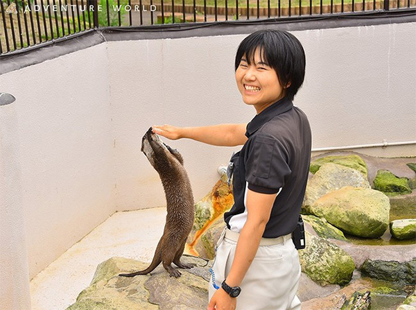 夏休みの思い出にぴったり！家族で楽しめるアドベンチャーワールドのイベントに注目