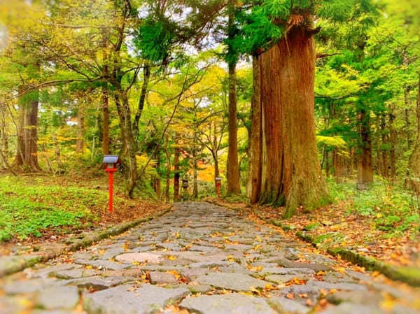 縁結び・金運・開運・エネルギー！鳥取県のパワースポット18選