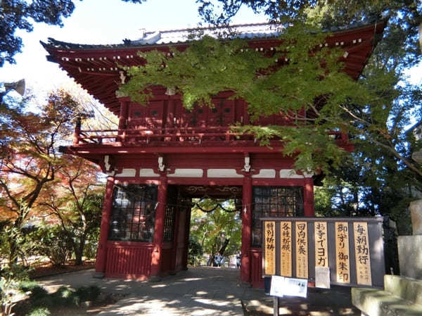 千葉の紅葉名所No.1【本土寺】のオススメ写真スポット＆楽しみ方を伝授！