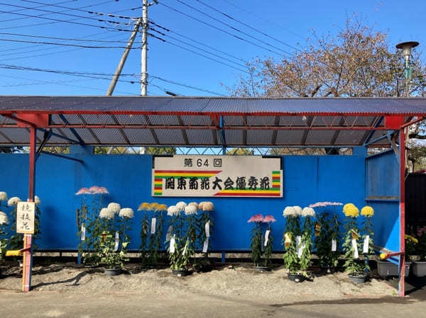 【群馬県】渓谷美と菊で有名な「ながめ公園」と周辺オススメ散策スポット