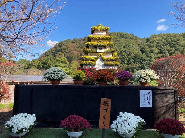 【群馬県】渓谷美と菊で有名な「ながめ公園」と周辺オススメ散策スポット