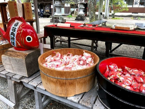 【山形・鶴岡】ここでしか買えない！「駅の弁当 庄内弁」と心ときめく「荘内神社」の水みくじ♪