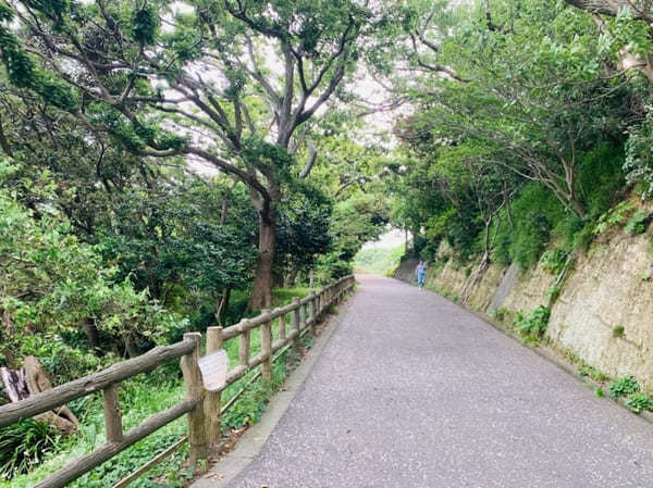 【逗子】披露山公園の魅力を地元ライターが写真付きで紹介～動物たちとも会える自然豊かな場所～