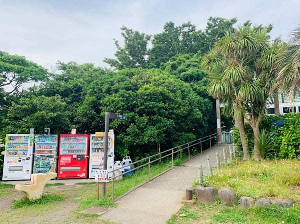 【逗子】披露山公園の魅力を地元ライターが写真付きで紹介～動物たちとも会える自然豊かな場所～