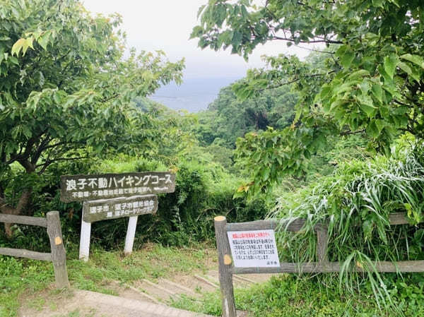 【逗子】披露山公園の魅力を地元ライターが写真付きで紹介～動物たちとも会える自然豊かな場所～