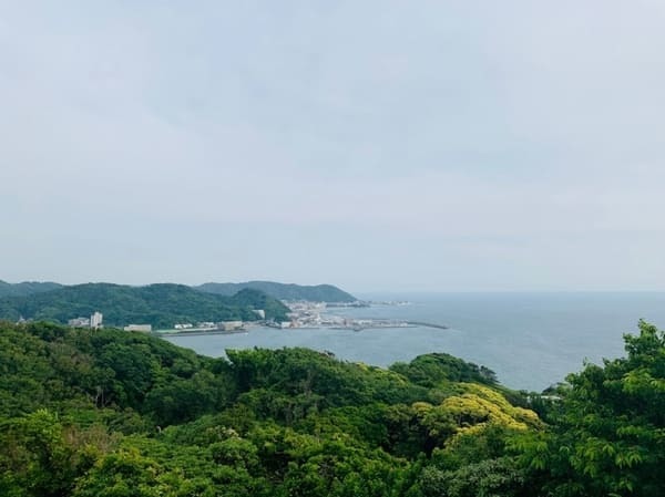 【逗子】披露山公園の魅力を地元ライターが写真付きで紹介～動物たちとも会える自然豊かな場所～