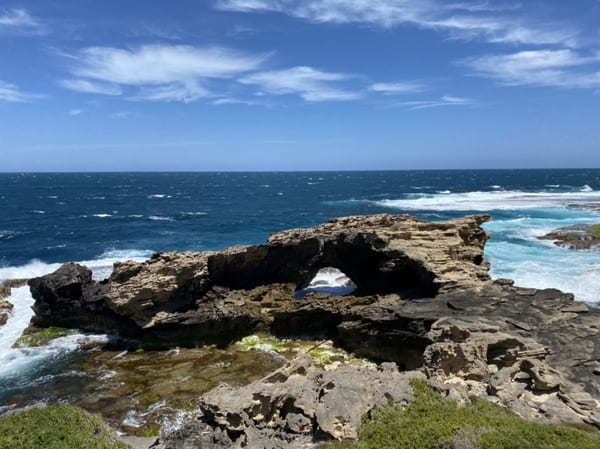 【オーストラリア・ロットネスト島】乗り降り自由なバスで島内を楽ちん周遊