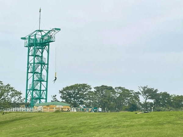 【千葉】都内から日帰りOK「マザー牧場」完全ガイド！遊園地やグランピングも◎1.jpg