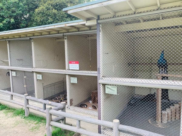 【逗子】披露山公園の魅力を地元ライターが写真付きで紹介～動物たちとも会える自然豊かな場所～