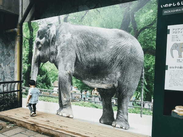 関東の人気動物園TOP16！みんなが行っている動物園ランキング1.jpg