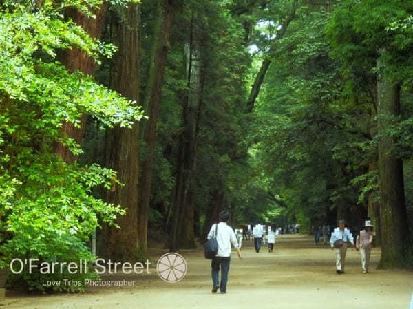 合格祈願から映えスポットまで！茨城の神社11選