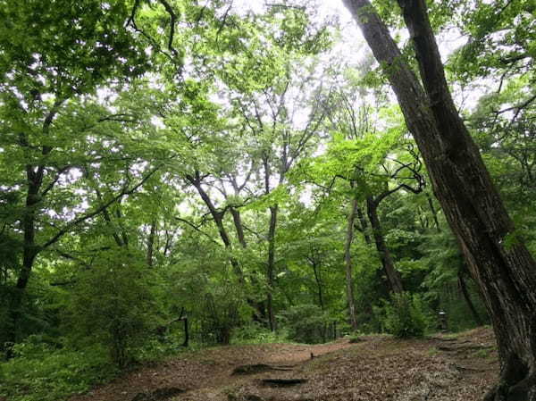 群馬・伊香保温泉観光に必見！龍穴のパワーを大満喫する水澤寺1.jpg