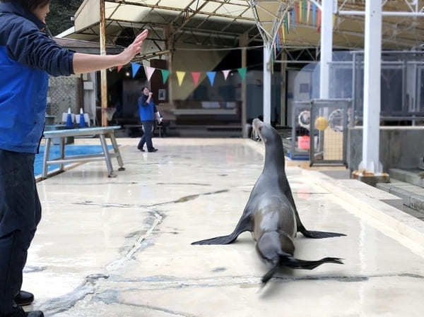 東海の人気水族館TOP16！みんなが行っている水族館ランキング