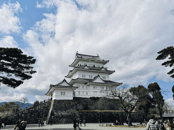 【神奈川・小田原】食べて遊んで癒されて！子供連れで行く日帰りドライブ旅行1.jpg