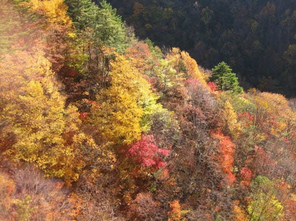 秘湯好きの聖地！美肌の湯・姥湯温泉と峠駅【山形】