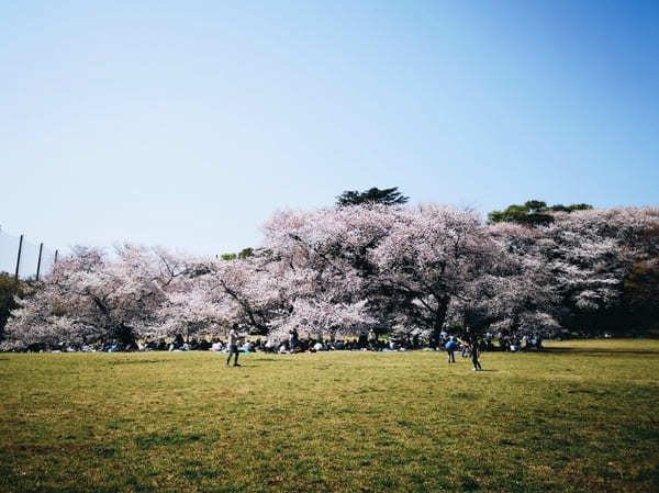 【東京】週末はアウトドアを楽しもう！子連れにおすすめの大型公園10選