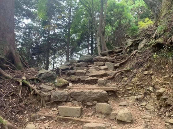 都内からの日帰り登山にも！ケーブルカー無しで楽しむ大山登山のベストコース【神奈川】