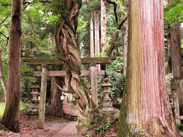 真っ赤に彩られた「簑沢彼岸花公園」と「白河の関跡」をたどる【栃木＆福島】1.jpg