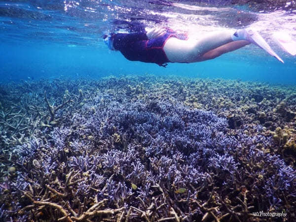 【宮古島】ウミガメも魚も珊瑚も！シュノーケリングするならここに行け！