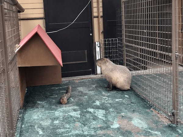 【都内近郊】無料の子供遊び場！動物とも触れ合える「浦安市交通公園」がおすすめ1.jpg