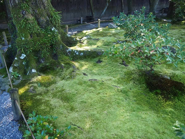 【京都】圧巻の「南禅寺」の紅葉と静寂の庭「無鄰菴」