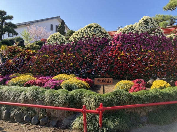 【群馬県】渓谷美と菊で有名な「ながめ公園」と周辺オススメ散策スポット