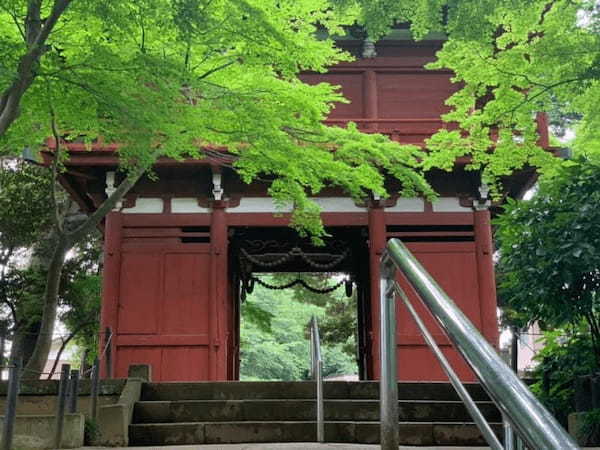 5万本の紫陽花と6千本の花菖蒲！千葉県のあじさい寺【本土寺】へ行こう1.jpg