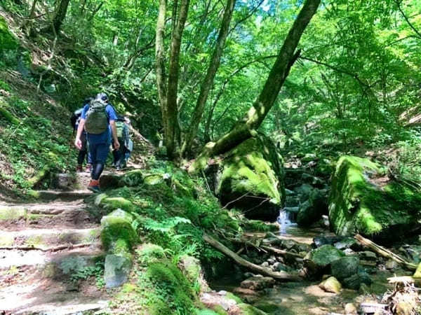 難易度順！東京のオススメ登山コース10選～低山から都内最高峰まで～