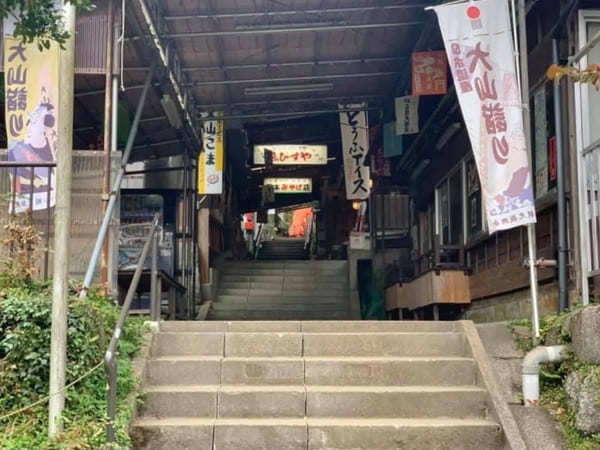 都内からの日帰り登山にも！ケーブルカー無しで楽しむ大山登山のベストコース【神奈川】