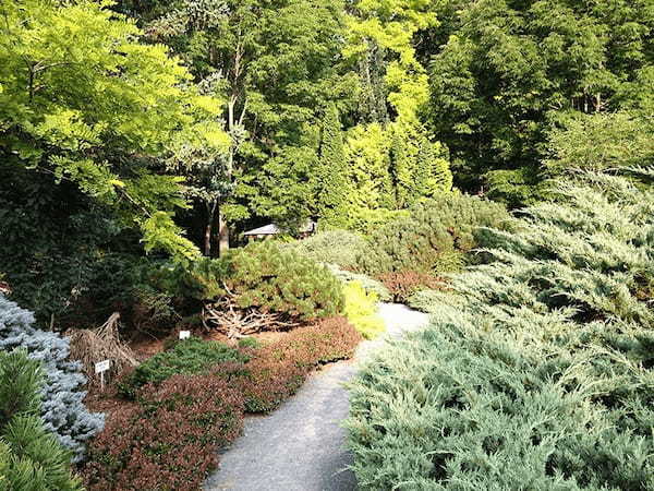 【北海道・帯広】日本初・最大規模のコニファーガーデン（針葉樹庭園）：真鍋庭園でリフレッシュしよう！