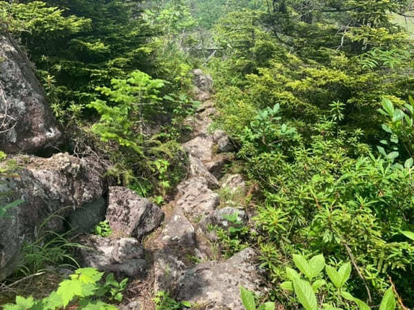 【北海道】然別湖の自然を大満喫！白雲山・天望山・東雲湖をぐるっと1周♪