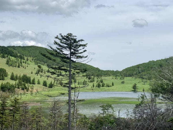 【北海道】然別湖の自然を大満喫！白雲山・天望山・東雲湖をぐるっと1周♪