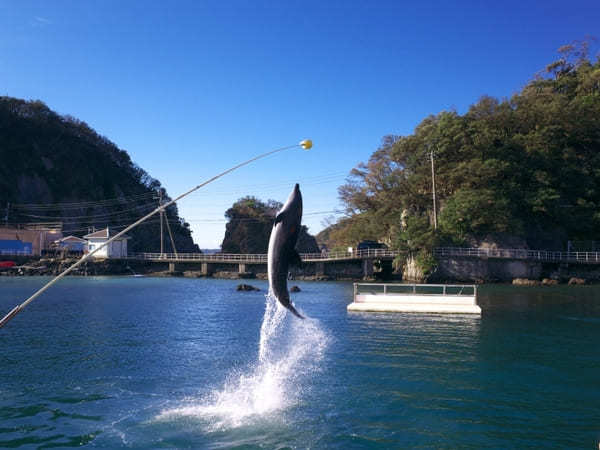 東海の人気水族館TOP16！みんなが行っている水族館ランキング