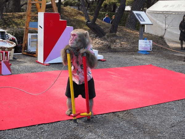 庭園に漂う梅のかほり【横浜・三渓園】の観梅会で春を感じよう1.jpg