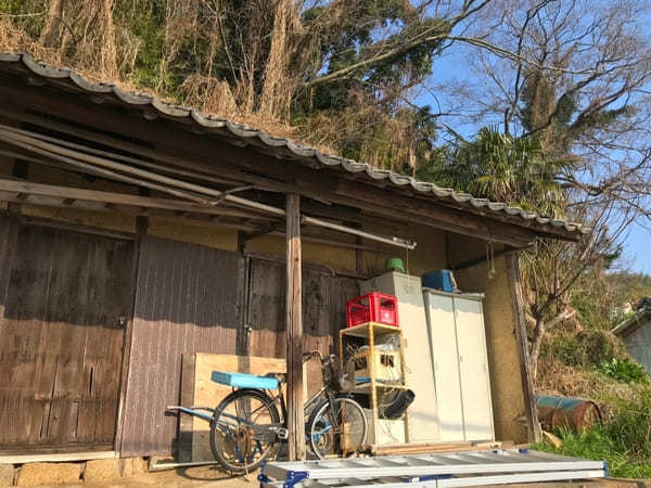 【香川】絶景と圧巻の巨樹！樹齢1,200年の大楠に会いに志々島へ！