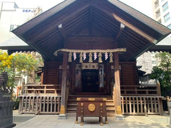 早春の都内で一番美しい神社？ミモザと早咲き桜が彩る蔵前神社へ【台東区】