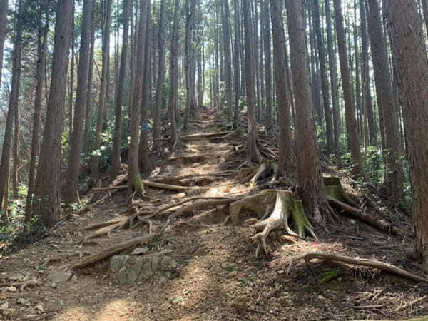 難易度順！東京のオススメ登山コース10選～低山から都内最高峰まで～