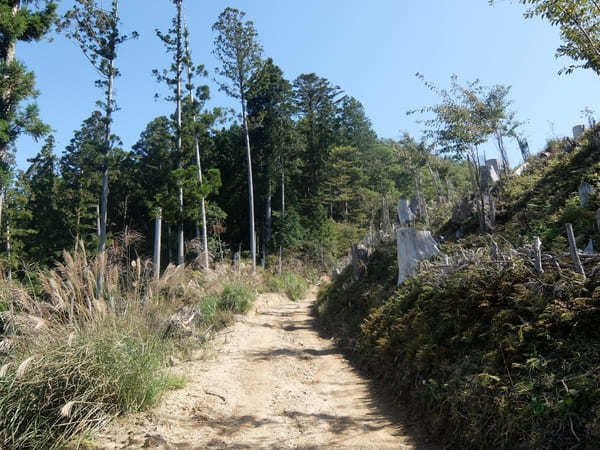 【奈良】吉野山最高峰・青根ヶ峰を目指しながら世界遺産の神社仏閣巡り