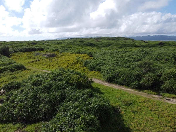 【鳩間島・完全ガイド】絶景ビーチや島の魅力、おすすめの過ごし方を大公開！（沖縄）