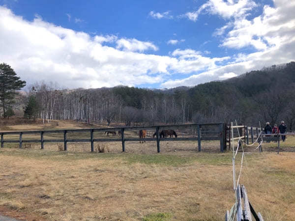 【木曽馬の里】愛らしい「木曽馬」に癒されよう（長野・開田高原）