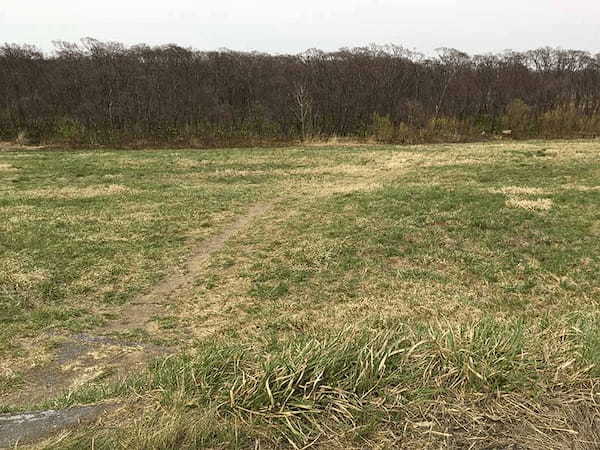 【北海道】石狩平野に広がるマクンベツ湿原とミズバショウ群生1.jpg